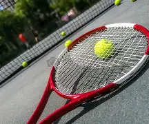 kaiyun官网中国 -关于网球夜战：关东飞鹰队淘汰对手燕赵犀牛队，临门一脚致胜轮换效果显现的信息